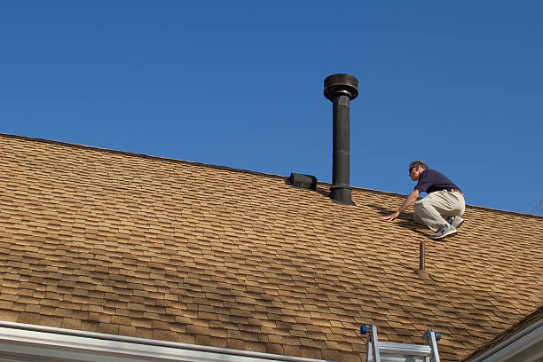 Best Roof Moss and Algae Removal  in Midlothian, VA